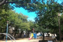 緑第一公園
